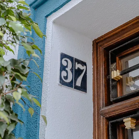 El Mirador De La Consentida & Boutique Pensión